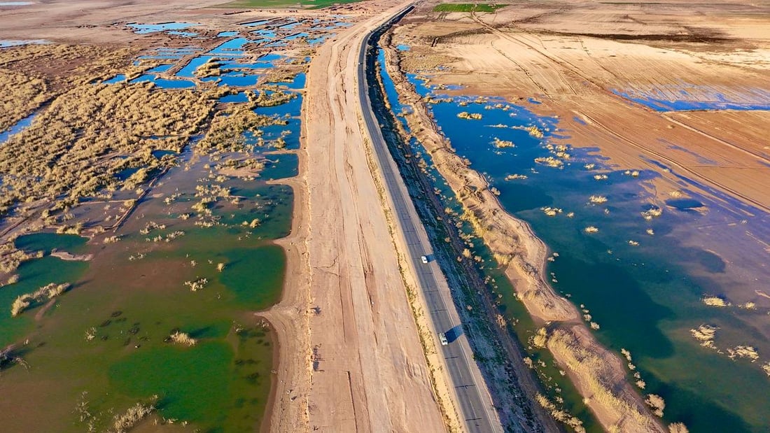 صور: الطيور المهاجرة تعود لبحيرة حمرين بعد الأمطار الغزيرة