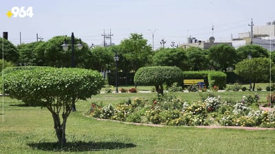 هەولێر.. باخچەی گەڕەکەکان دەکرێنە دارستان