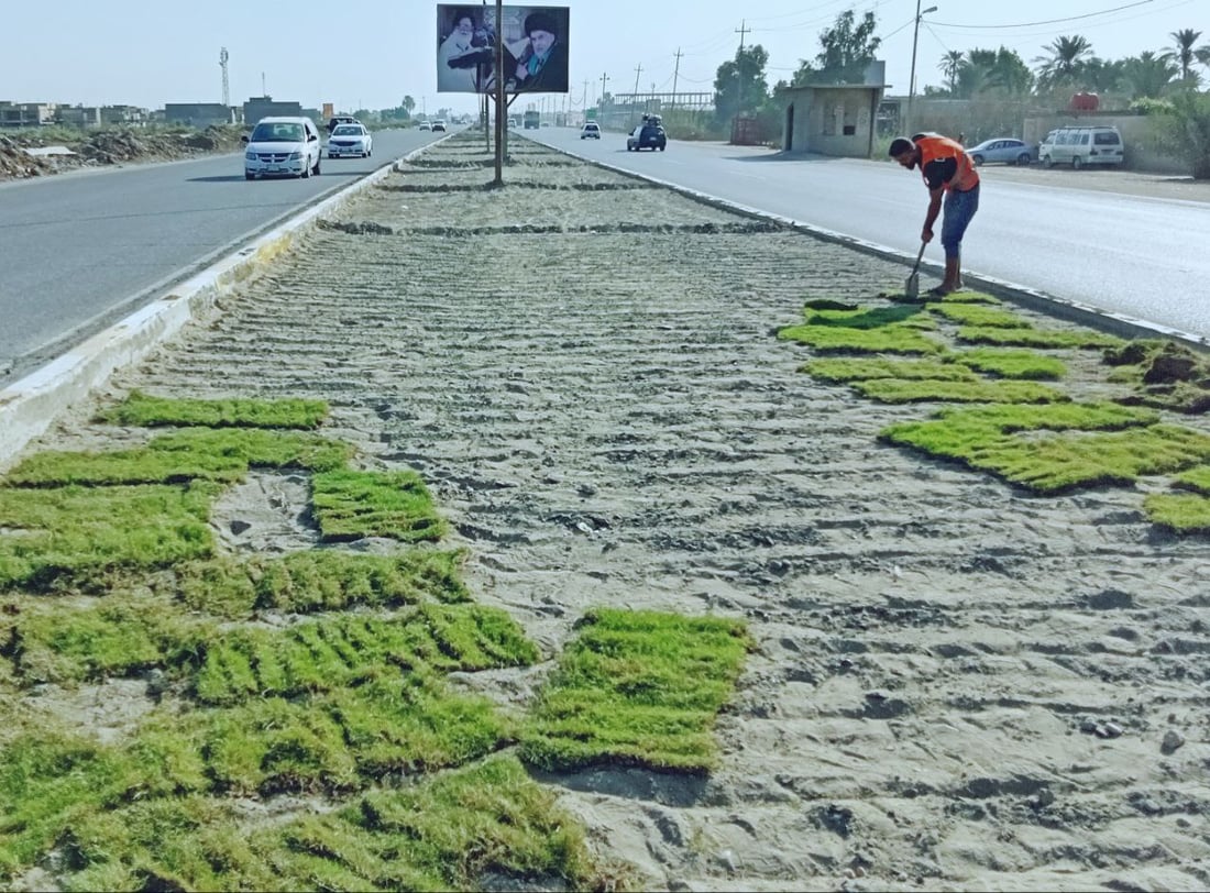 القاسم ستصبح خضراء.. حملة لزراعة 1000 شتلة في الجزرات الوسطية (صور)