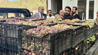 كۆمپانیایه‌كی خۆماڵی 6000 تۆن ترێ له‌ جوتیارانى دهۆک ده‌كڕێته‌وه‌