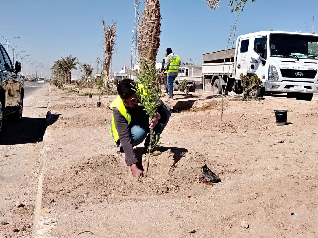 حملة التشجير الربيعية انطلقت.. صور من 8 مدن في الأنبار