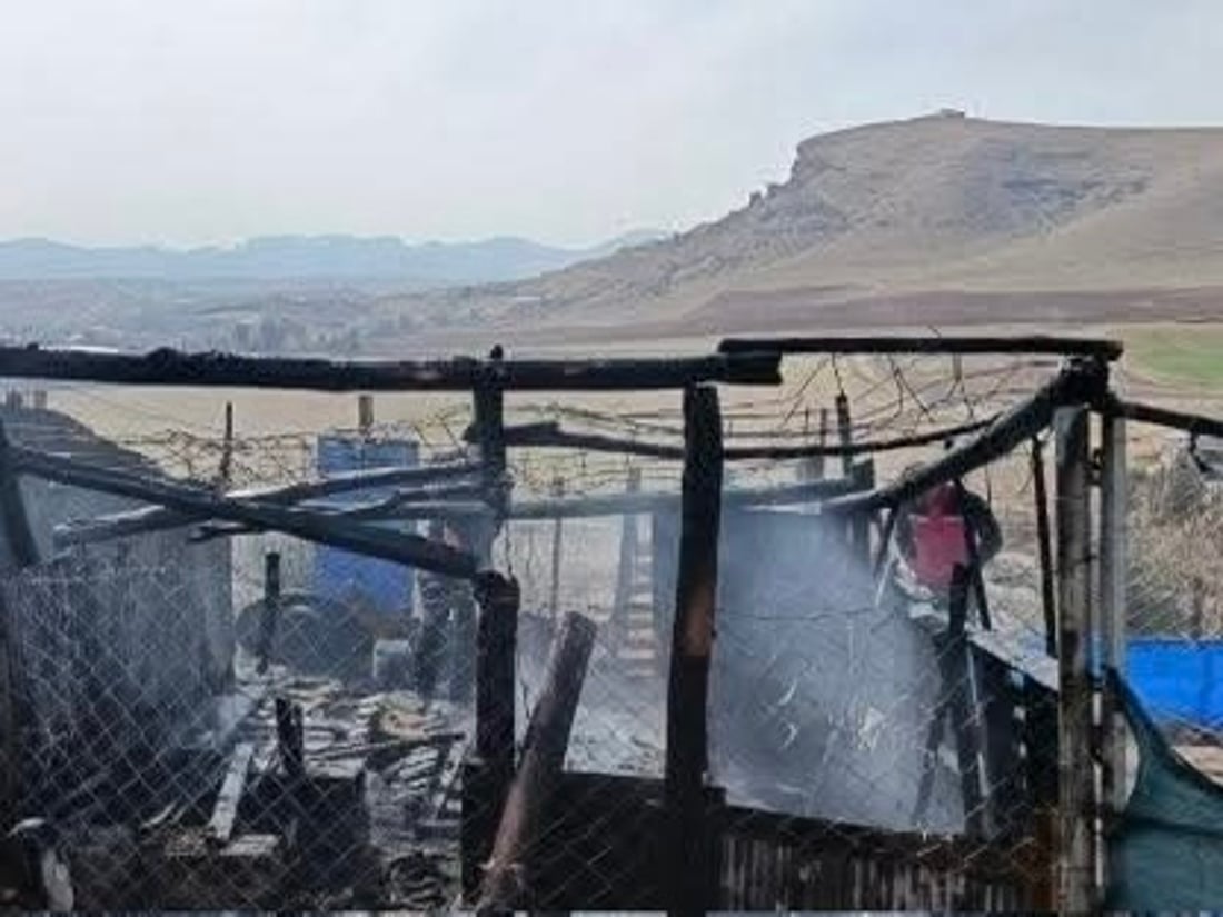 Fire at Zakho poultry farm kills over 100 birds