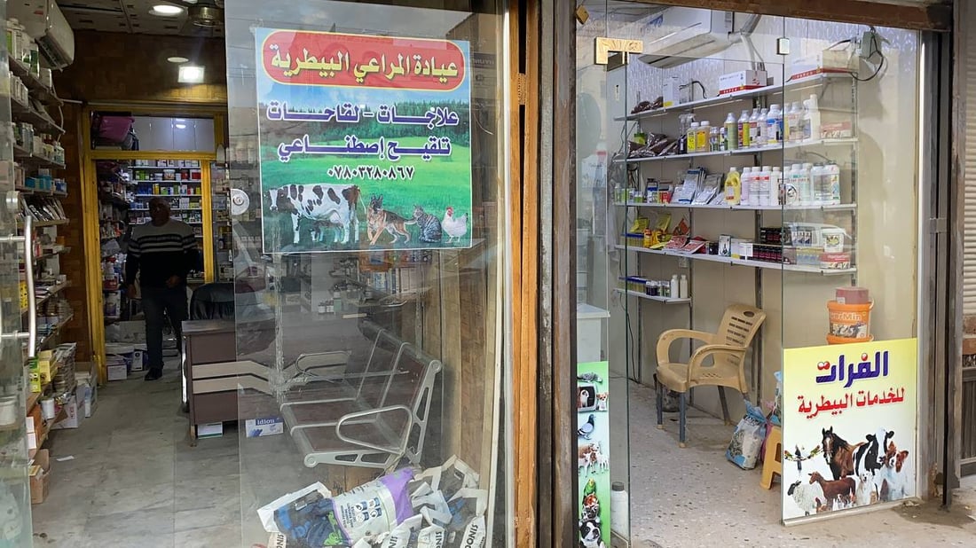 بالصور: حيوانات أليفة في المنازل تنعش العيادات البيطرية بالناصرية