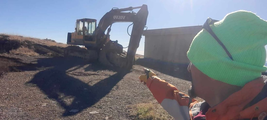 ژینگه‌ى چیاى مامه‌نده‌ و چه‌ند شوێنێكى سنوورى پشده‌ر ده‌شێوێندرێن