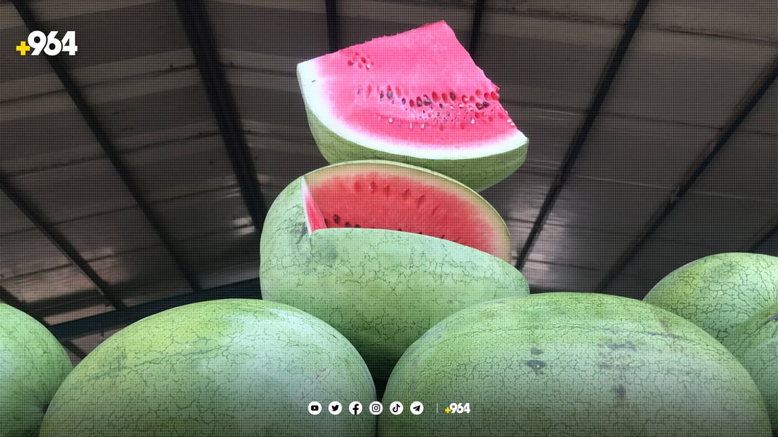 نرخی شووتی پێنجوێن سێ هێندەی پار ئەم کاتەیە