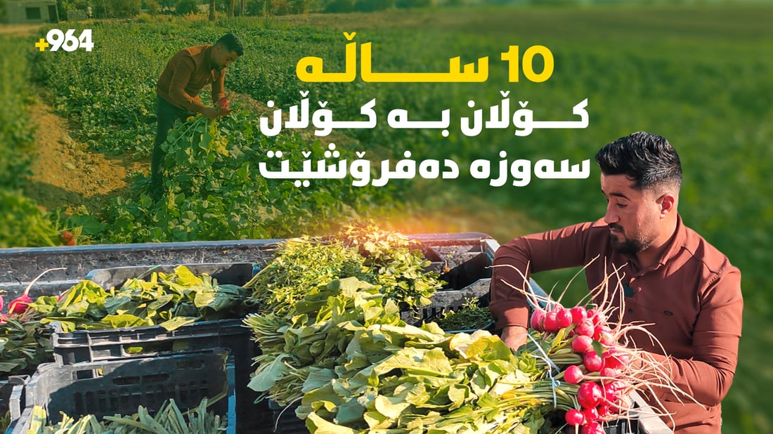 وا 10 ساڵە سەوزە بەرهەم دێنێ و هەر خۆشی دەیفرۆشێ