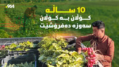 وا 10 ساڵە سەوزە بەرهەم دێنێ و هەر خۆشی دەیفرۆشێ