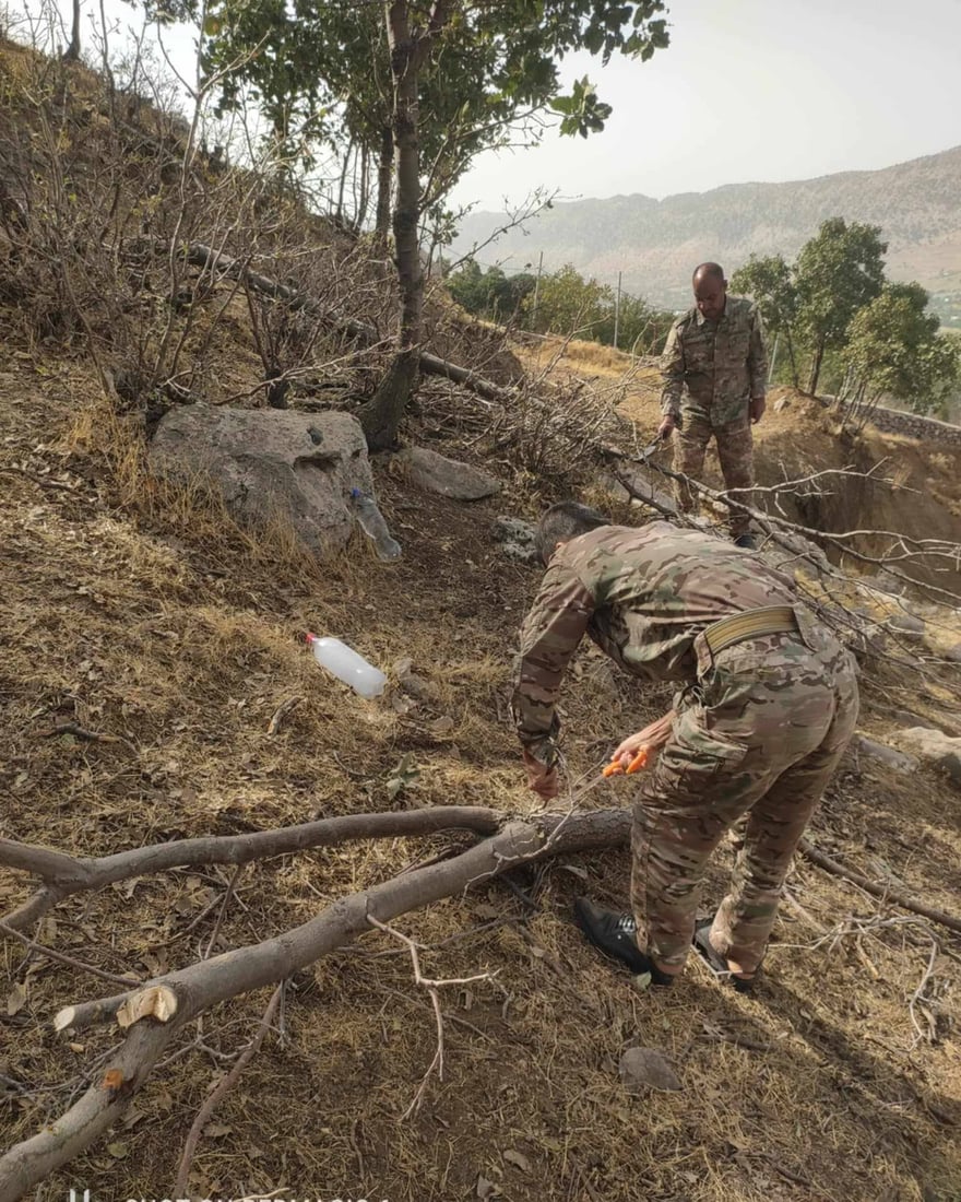 لە مێرگەپان 16 داری تەمەن 15 بۆ 20 ساڵ قەتڵوعام کران