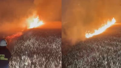 زیاتر لە 100 دۆنم دەغل و دان سووتا