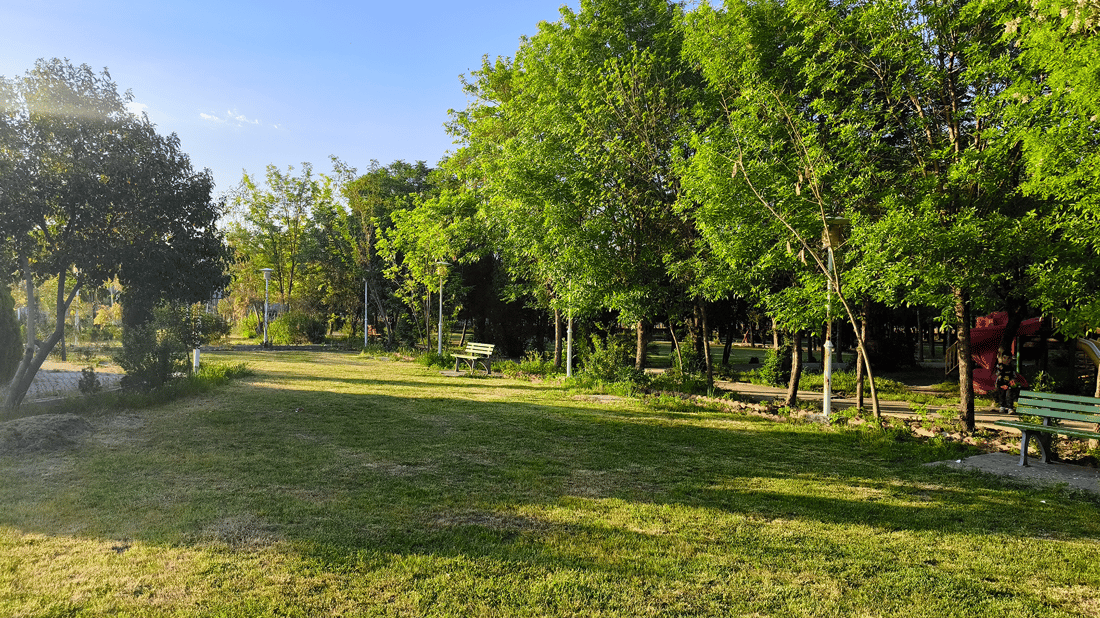 رێکخراوێک لە شارەزوور پارکەکان پاکدەکاتەوە و سەلەی خۆڵ دادەنێت