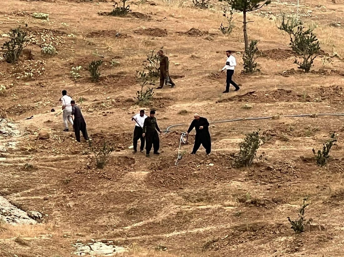 له‌ ئاغجه‌له‌ر دارستانێكی نوێ چێندرا