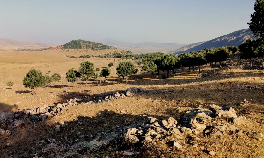 زیاتر له‌ شه‌ش ملیۆن دۆنم دارستانى سروشتى له‌ هه‌رێمی كوردستان هه‌یه‌