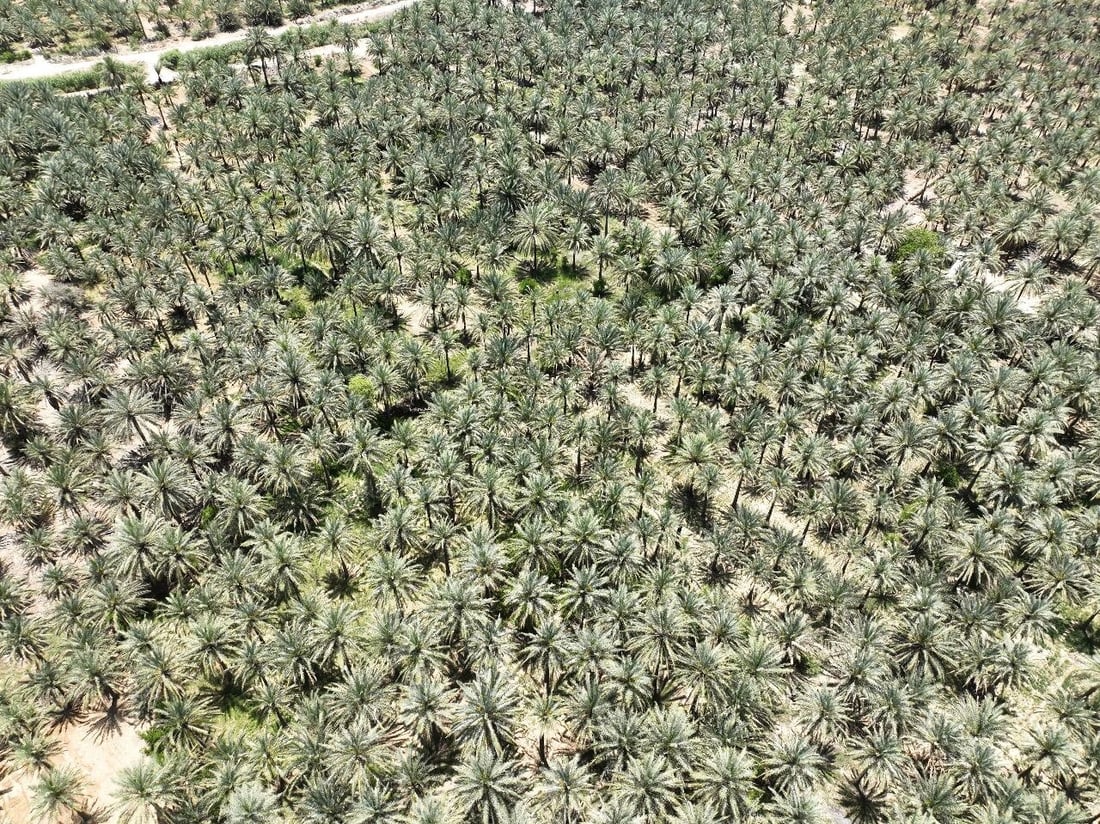 صور: كربلاء تجرب الري باستخدام الألواح الشمسية.. أنابيب مغلقة لا تحتاج مولدة