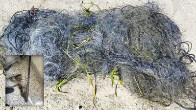 له‌ پشده‌ر سێ راوچی به‌ ئۆتۆمبێله‌وه‌ ده‌ستگیر كران