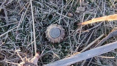 Shepherd killed by landmine in Bradost region