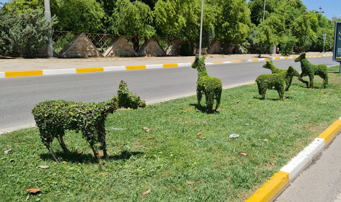 تیمێكی شێوه‌كارى ئاژه‌ڵ و باڵنده‌ له‌ناو هه‌ولێر بڵاوده‌كه‌نه‌وه‌