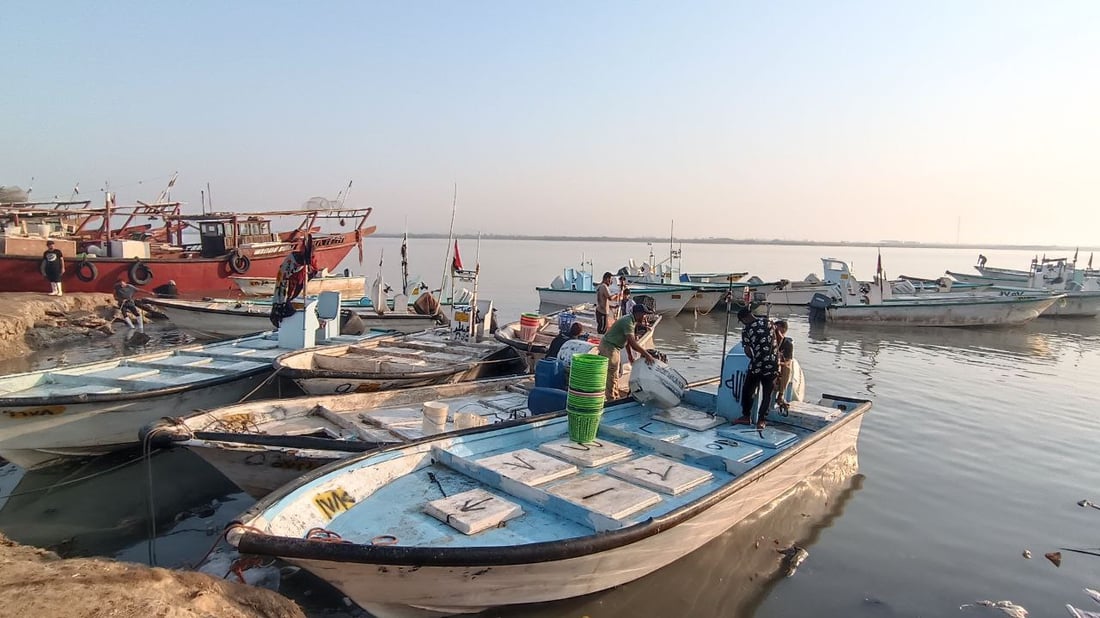 قائمة بأسعار وأصناف السمك في مزاد الفاو.. صور صباحية من مرسى النقعة