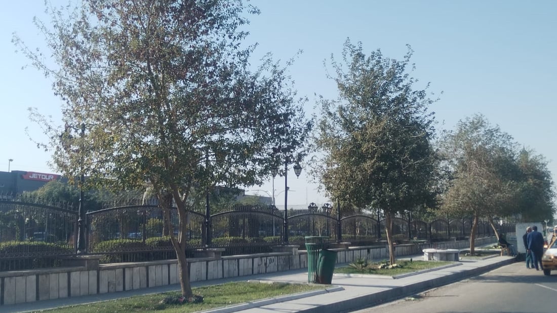 صور: تعليق عبارة “محمية بموجب القانون” على أشجار بغداد في السيدية والبياع