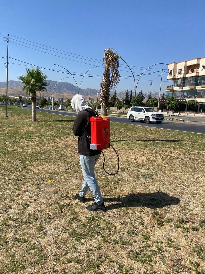 کرم بەربووەتە چیمەنی شەقام و پارکەکانی زاخۆ