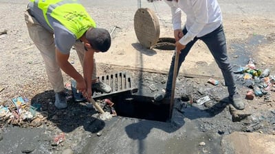 مەنهۆڵەكانی بنەسڵاوە پاکكرانەوە و 70 نەمامیش چێنران