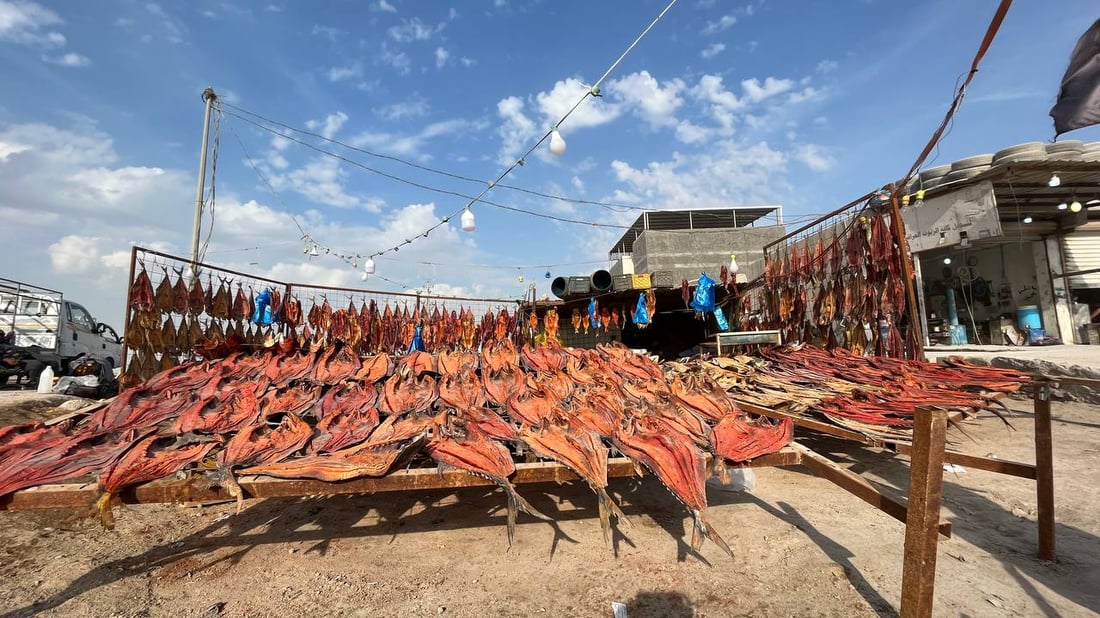 صور غير مألوفة من البصرة: لون المسموطة صار أحمر.. والبغادلة يصورون فقط!