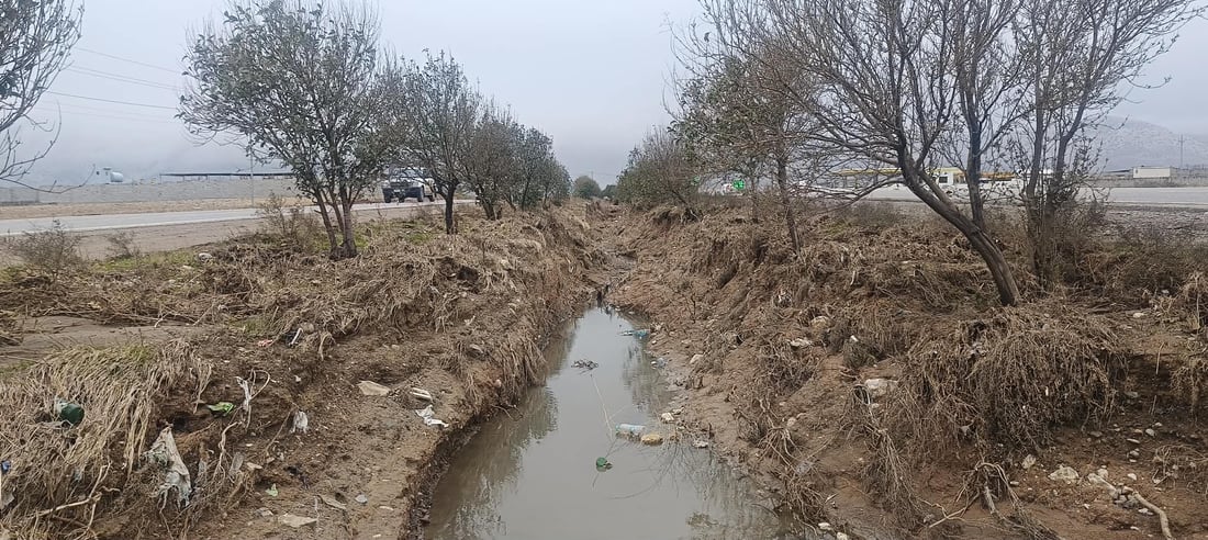 بچن بەهانای درەختەکانی نێوان تەکیە بۆ چەمچەماڵ