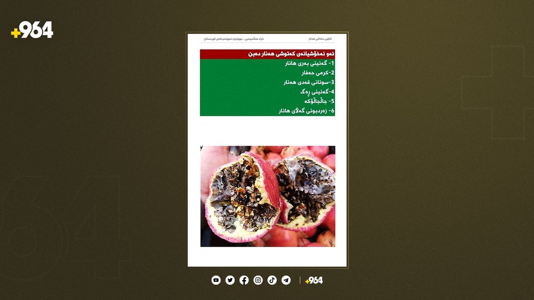 جوتیارە نمونەیەکەی هەڵەبجە هەناری کردووەتە کتێب