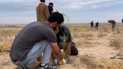 Basra volunteers plant ‘forest of immortality’ to honor lost loved ones with tamarisk trees