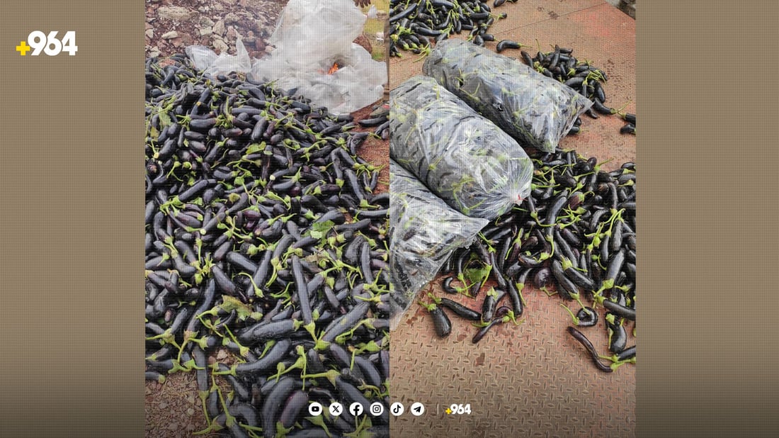 ئەمساڵ بە تەنیا لەیەک مەرز دەستبەسەر 200 تۆن خۆراکی خراپبوودا گیراوە