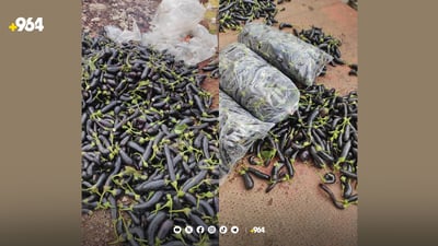 ئەمساڵ بە تەنیا لەیەک مەرز دەستبەسەر 200 تۆن خۆراکی خراپبوودا گیراوە