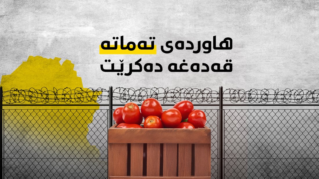 هاوردەی تەماتە بۆ هەرێمی کوردستان قەدەغە دەکرێت