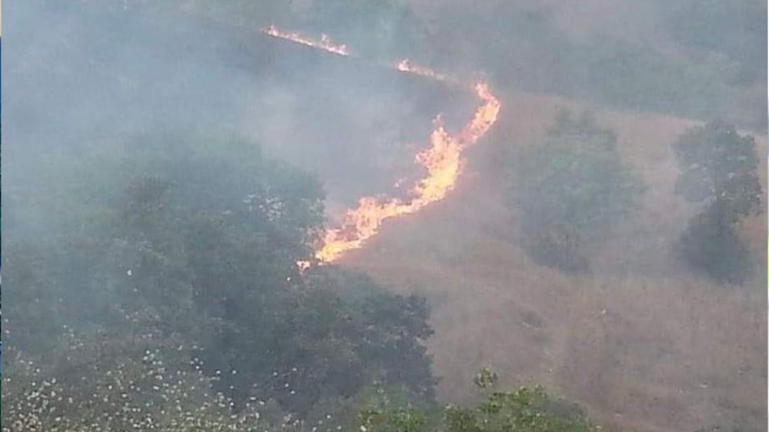 ئاگرەکەی ماوەت تا دێت تەشەنە دەسێنێت