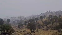 شەپۆلی بەفر و بارانەکە شەممە دەگاتە کوردستان
