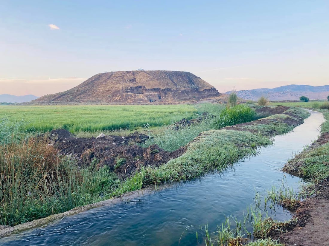 +964صورة من منصة (شبكة): 