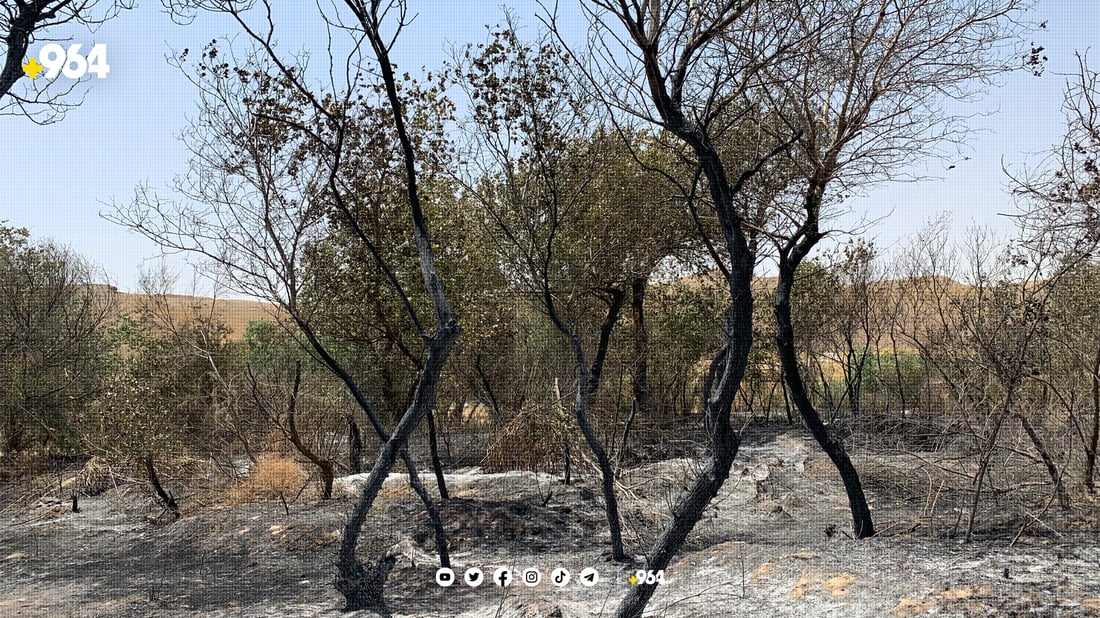 “سووتاندنی دارستانەكان دەستی لە پشتە”