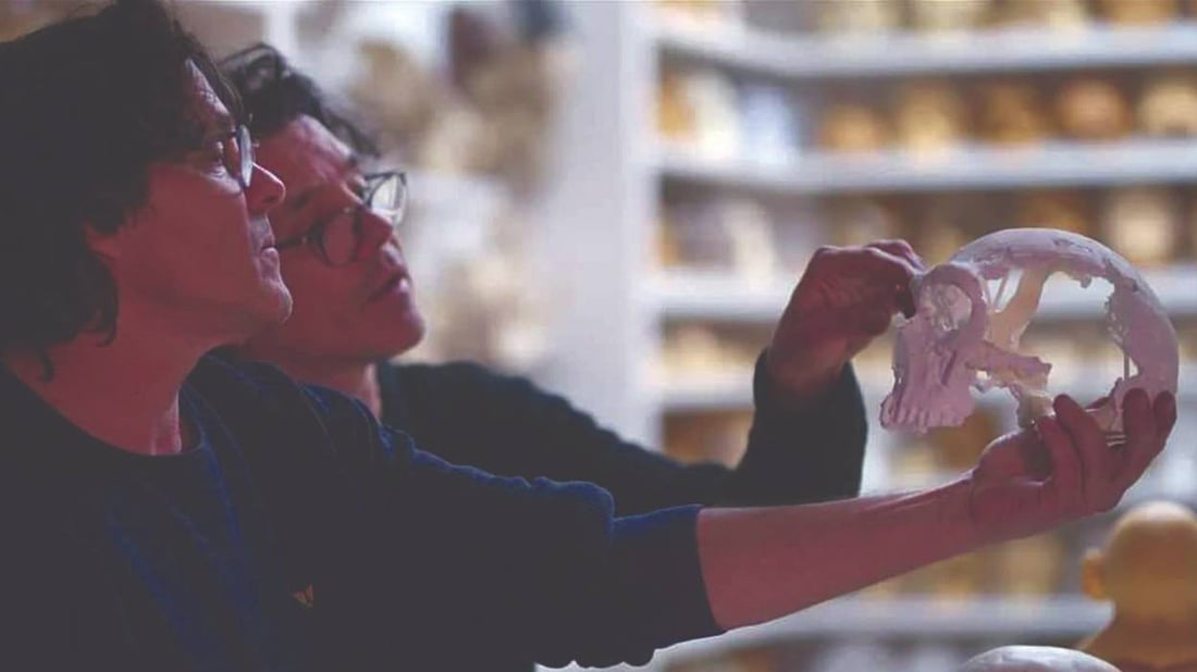 964mediaصورة من منصة (شبكة): 