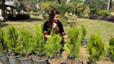 لەیادى 25 ساڵەى لەدایکبوونى 25 نەمامى ناشت