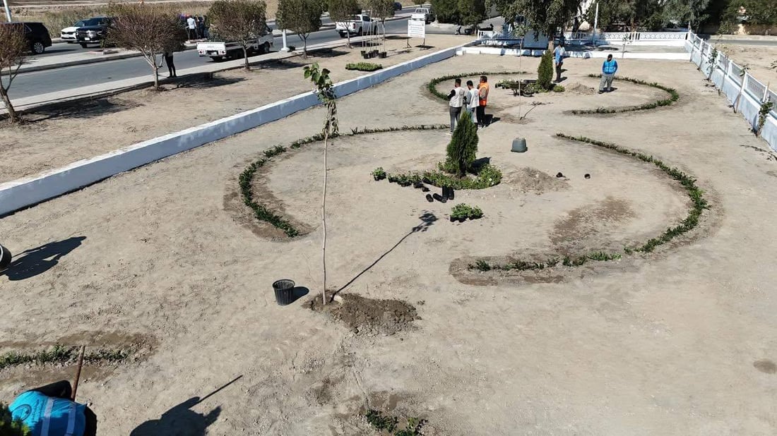 حملة التشجير الربيعية انطلقت.. صور من 8 مدن في الأنبار