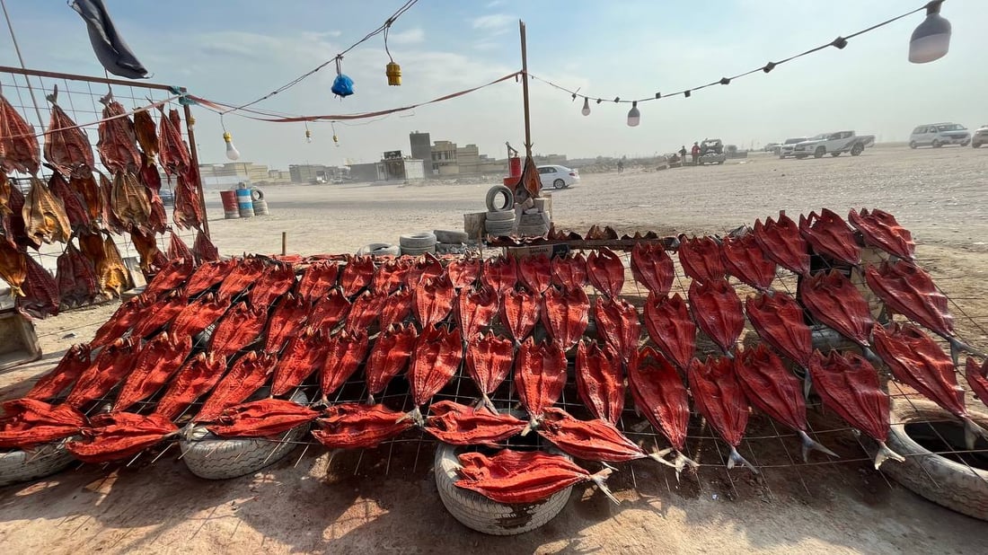 صور غير مألوفة من البصرة: لون المسموطة صار أحمر.. والبغادلة يصورون فقط!