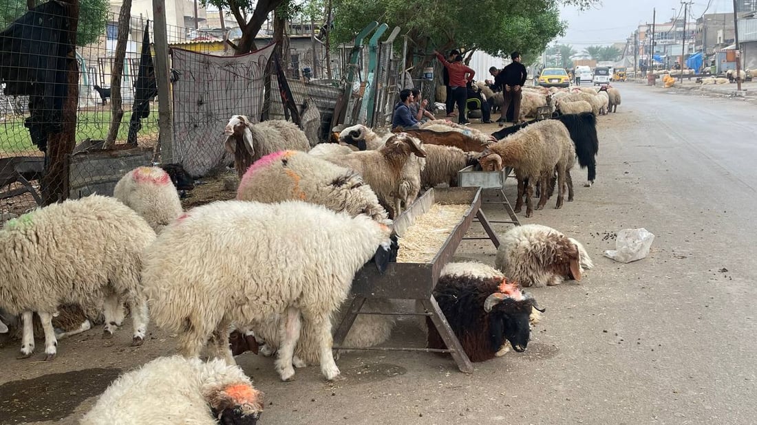 هذا ما يحدث قرب صورة الصدرين في “قطاع 18”.. وهناك من “يحميهم”! (صور)
