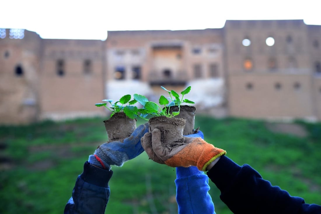 بۆ ئەم زستانە هەولێر 30 هەزار گوڵ دەچێنێت