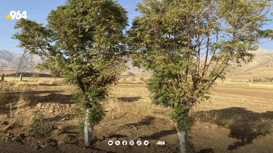 دەروازەی هەورامان زیندوو دەکرێتەوە