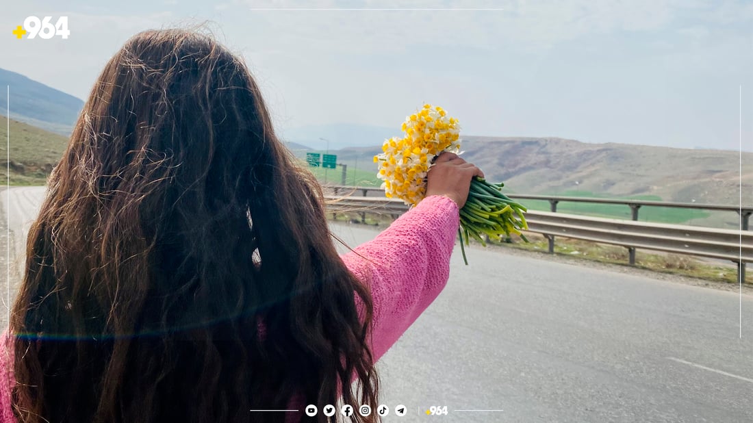 منداڵە نێرگز فرۆشەکانی لۆفەی سپیلک