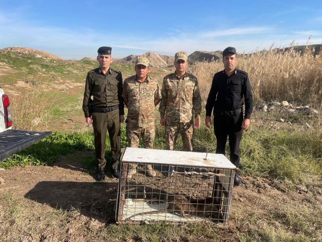 لە گوندێکی بەردەڕەش “سەگێکی ئاوی” گواسترایەوە