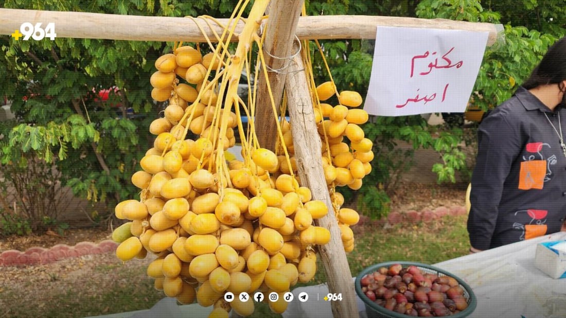 ئایا دەکرێت خورما لە کوردستان بچێندرێت؟