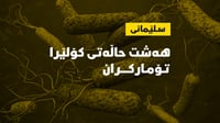 هەشت حاڵەتى کۆلێرا لە سلێمانى تۆمار کران