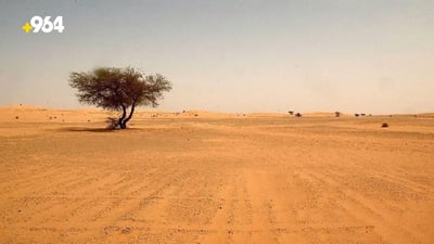 Farmers in Najaf look to modern irrigation tools to plant wheat in the desert