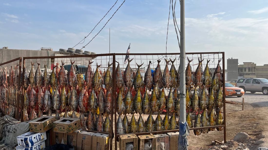 صور غير مألوفة من البصرة: لون المسموطة صار أحمر.. والبغادلة يصورون فقط!