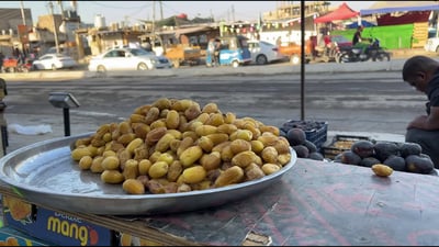 فيديو: صبر البغادة انتهى.. انتشروا في شارع بشار بحثاً عن “بريم” البصرة