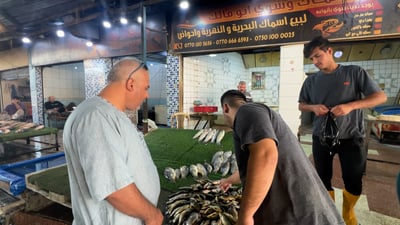 فيديو: السلمون الإيراني يتعرض لـ”هزيمة” أمام أسماك كركوك والنروج